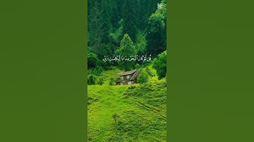 أنشر القران الكريم اجر لي ولك #المصحف #اكسبلور القارئ سعود الفايز