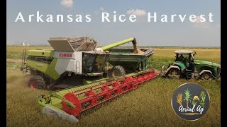 Arkansas Rice Harvest With a Claas Lexion 8700 4K