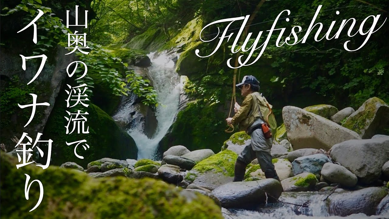 【釣り】山奥の渓流でイワナ釣り フライフィッシング  父の思い出の場所で