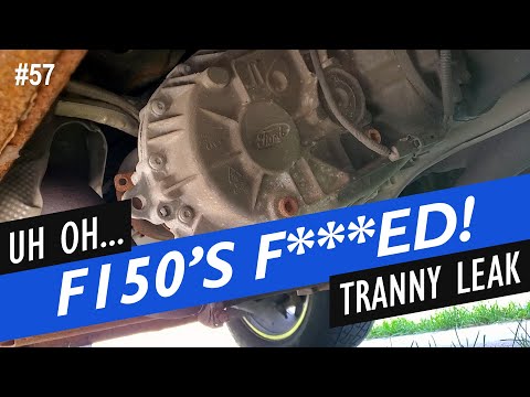 Ford F150 transmission fluid in transfer case