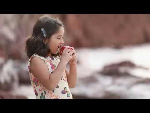 VIDEO CLIP PEGAH ویدئو کلیپ پگاه MOHAMMAD MIRMASOUMI 