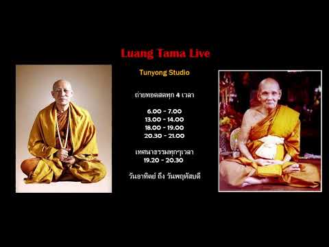 หลวงตาม้าถ่ายทอดสด วัดถ้ําเมืองนะ เชียงใหม่ Live Stream