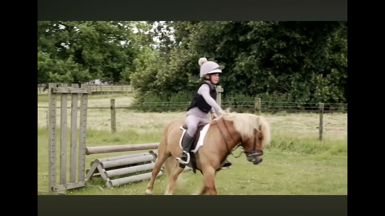 lol @HarlowLunaWhite