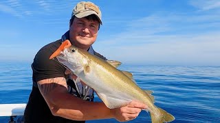 Exploratory Fishing Mission Into French Waters  Checking Out New Offshore Wrecks