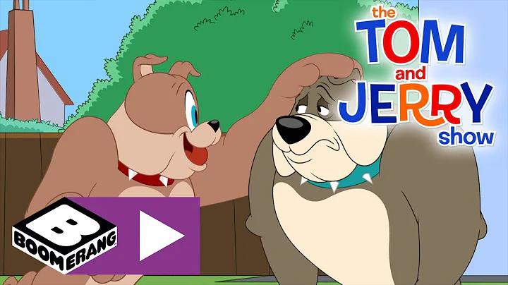 The Tom and Jerry Show | New Dog | Boomerang UK 🇬🇧