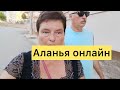 Схватила удачу за хвост. Кто остался дома? С кем коты?  Где лучше жить в Аланье?