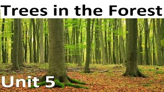 Unit 5 Trees in the Forest - listening exercises|listening activities