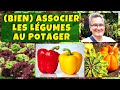 Les bonnes associations de lgumes au potager 