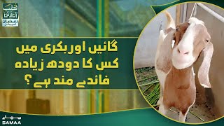 Qutb Online - Gaen aur Bakri main kiska doodh zyada faiday mand hai? - 24 April 2022