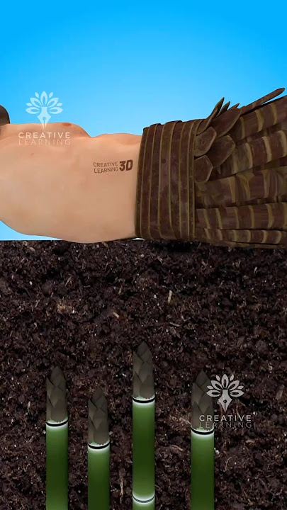 Bamboo Torture Explained😱 #short #viralvideo - Creativelearning3d