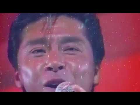 西城秀樹🌀情熱の嵐（愛の嵐version）