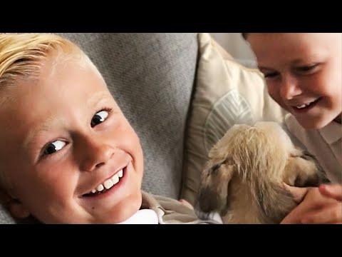 Surprising My Kids With A Puppy (Emotional)