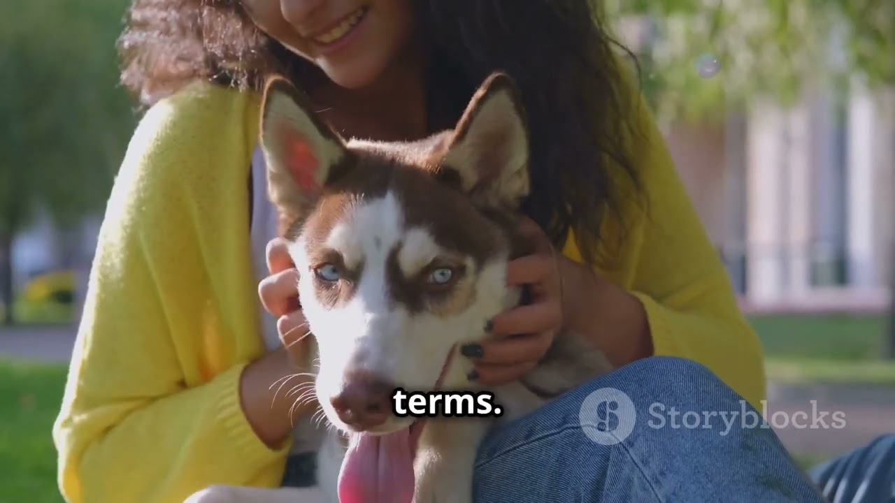 Top 5 Ways to Tell if Your Siberian Husky is an Alpha