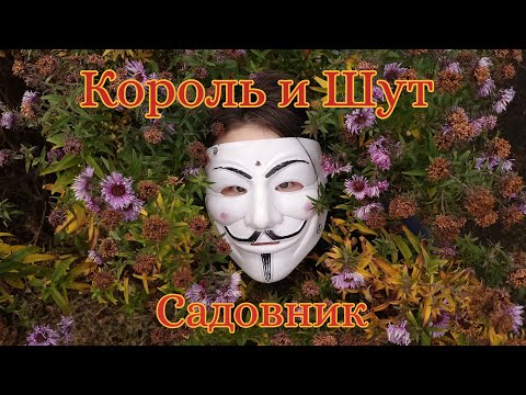 Король И Шут Садовник | Клип Koloda Films