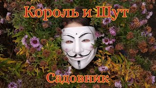 картинка: Король и Шут — Садовник | фан клип