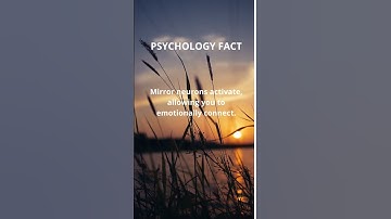 The Power of Storytelling: How Mirror Neurons Forge Emotional Connections