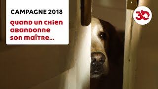 Campagne 2018 - 30 Millions d'Amis thumbnail