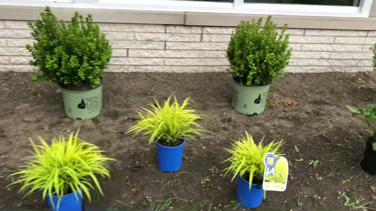 Residential Landscape Design