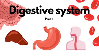 Digestive System - Mouth and Stomach | Biology | Simple Explanation | Knowledge Tavern