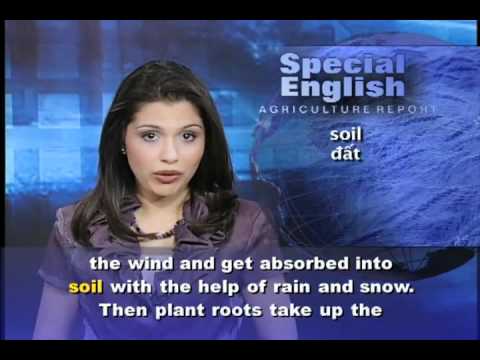 Video Anh ngữ đặc biệt 486 agriculture (VOA) - YouTube