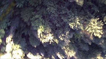 Crash FPV 49