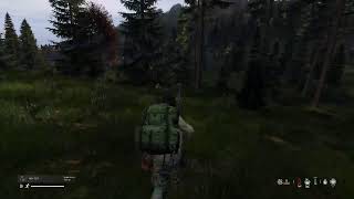 DayZ Last Man  Journey