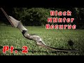 Black Hunter Recurve Pt. 2 -  Is it a good inexpensive bow?