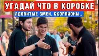 ЧЕЧЕНЦЫ УГАДЫВАЮТ | ЧТО В КОРОБКЕ | ЯДОВИТЫЕ ЗМЕИ | СКОРПИОН