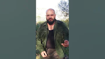 Нападение ворон на человека ( походные истории )