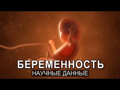 Видео: ПРИЧИНА, по Которой Ты Мог бы быть Умнее и Здоровее