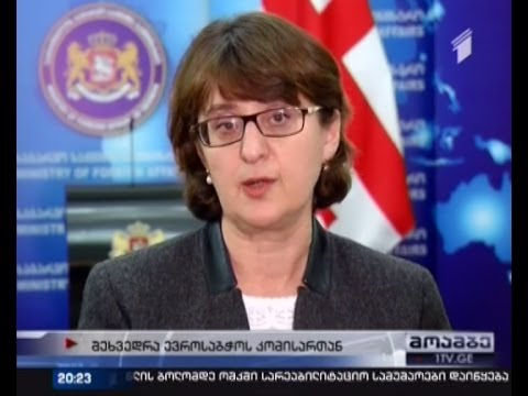 ევროსაბჭოს კომისარი საოკუპაციო ხაზის მონახულებას არ აპირებს