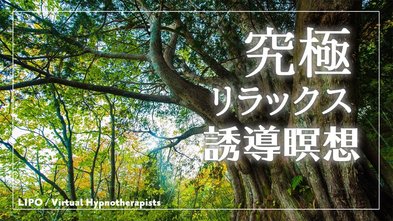 誘導瞑想】究極リラックス瞑想🌛心の浄化・最高にくつろげる時間を体験