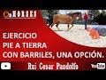 EJERCICIO PIE A TIERRA CON BARRILES, UNA OPCIÓN. Rui Cesar Pandolfo - On HORSES Channel