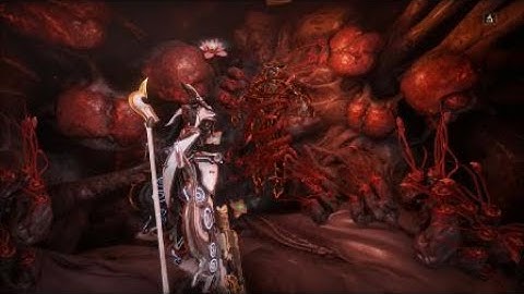 Orbiter | Subsumed warframe glitch