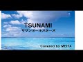 TSUNAMI(サザンオールスターズ)