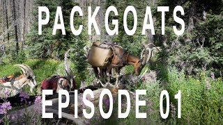 PACKGOATS: EPISODE 01