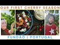 Cherry Season In Fundão Portugal | Our First Harvest On Our Off Grid Property
