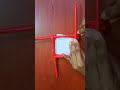 Simple Paper Pen stand 🤩#craft #penstand #diy