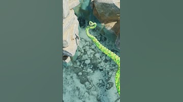 #3dmodeling #3danimation #blender3d #tentacles #coastal #gameassets #gamedev #gamedevelopment