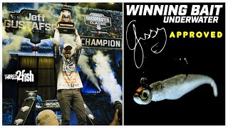 Gussy's Bassmaster Classic Winning Bait | Underwater Look
