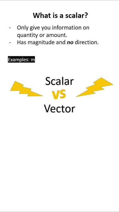 Scalars vs Vectors - YouTube