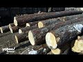 Lumber prices fall as the Fed battles inflation