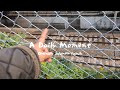 OKAERI – Clip 002 | Autumn | Morning