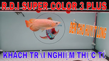🔴ĐÈN R.D.I SUPER COLOR 3 PLUS | KHÁCH HÀNG TEST TRẢI NGHIỆM THỰC TẾ