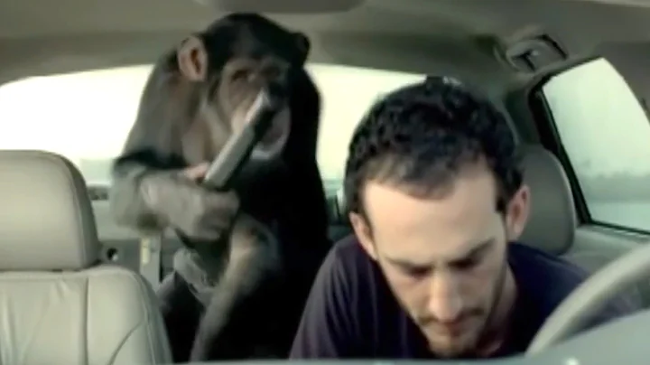 Funniest Trunk Monkey Commercials