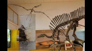 Tra dinosauri e fossili, tour virtuale del Museo di Paleontologia Unical