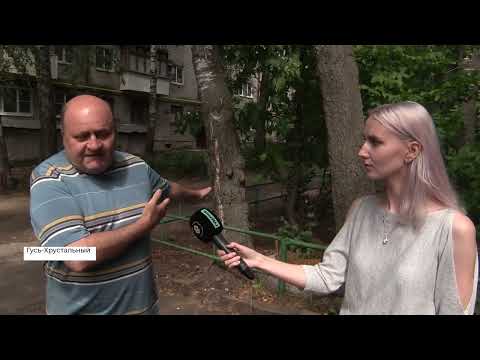 Жители Гусь-Хрустального жалуются на стихийную свалку возле домов (2022 08 01)