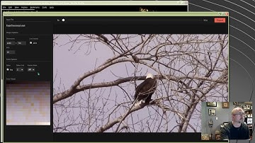 Convert Video To Animated GIF - Linux Mint 19