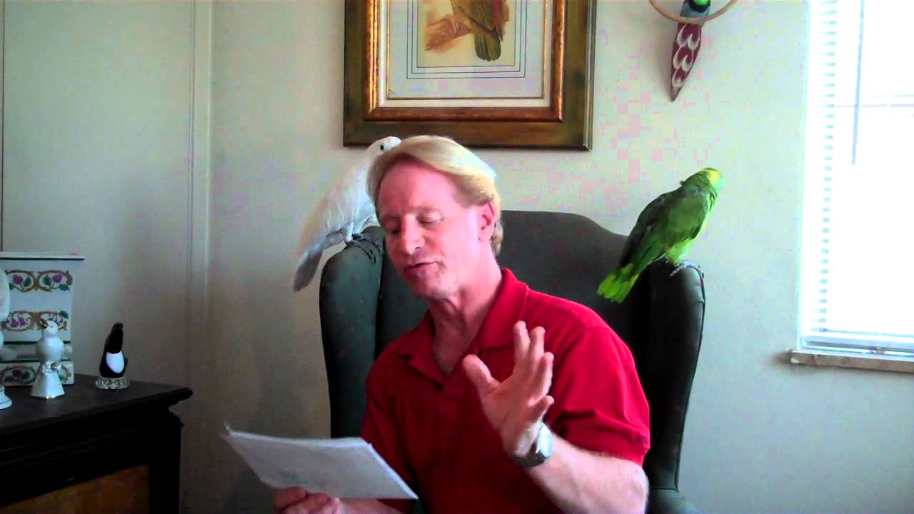 ANIMAL ADVENTURES PET GROOMING, PET CARE & SOCIALIZATION SHOW