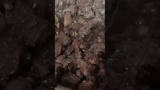 ,Er,Garlic Lea Perrins